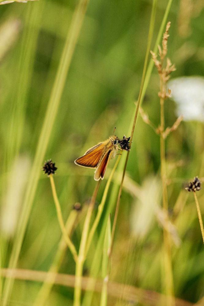 Photograph by Алиса Грюнвальд