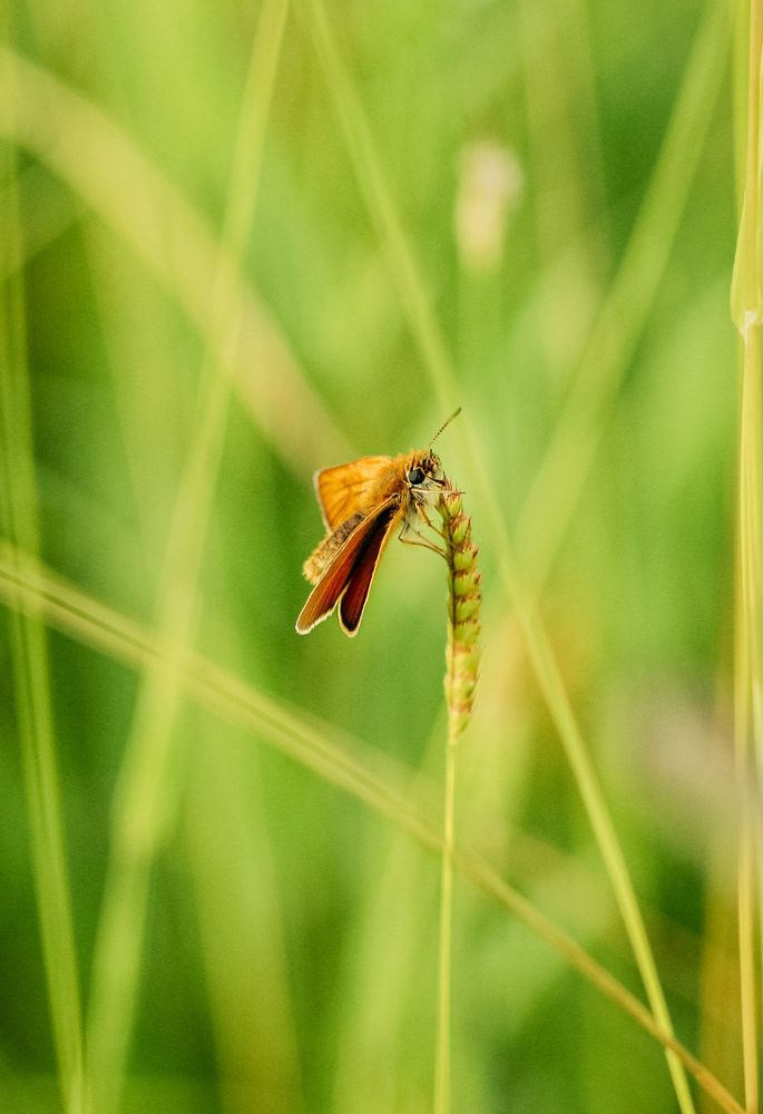Photograph by Алиса Грюнвальд