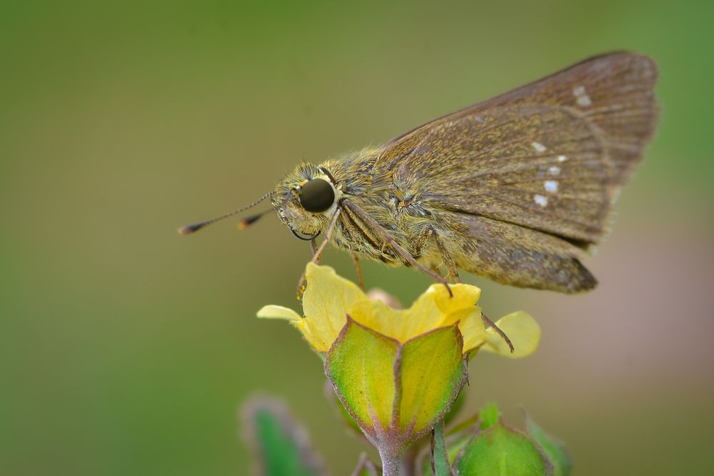 Photograph by Kasun Wickramasinghe