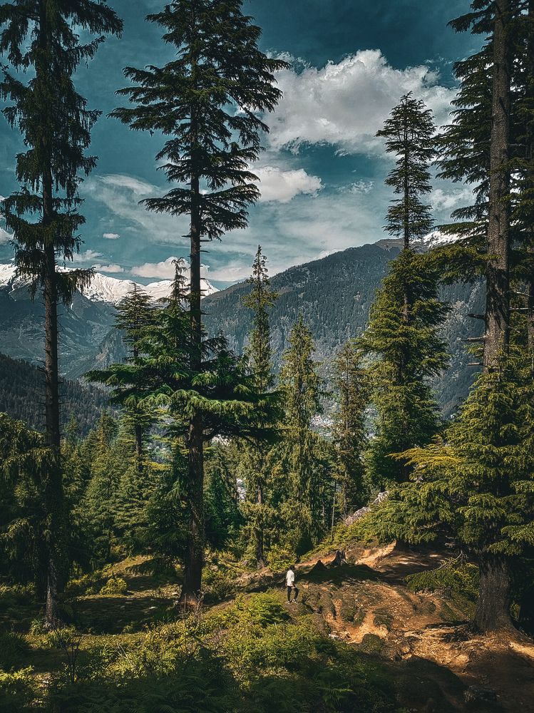 Photograph by Pawan Saini