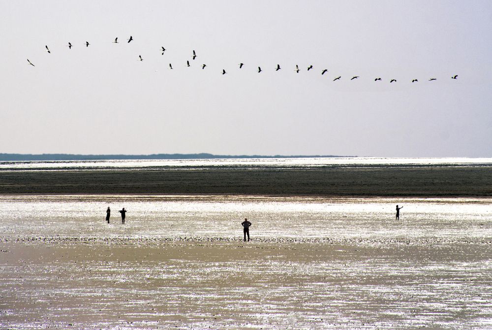 Photograph by Mahmoodreza Noraei