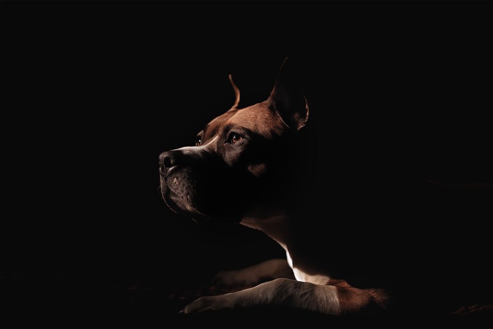 Фотография автора Мария Тигунова