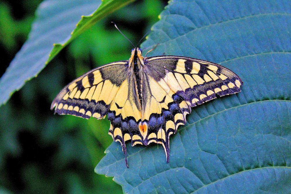 Photograph by Виталий Симоненков