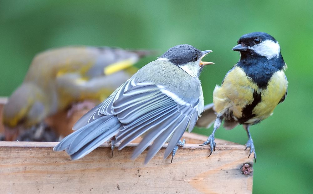 Photograph by Ольга Дядченко
