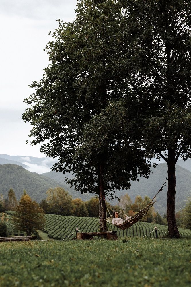 Photograph by Сергей