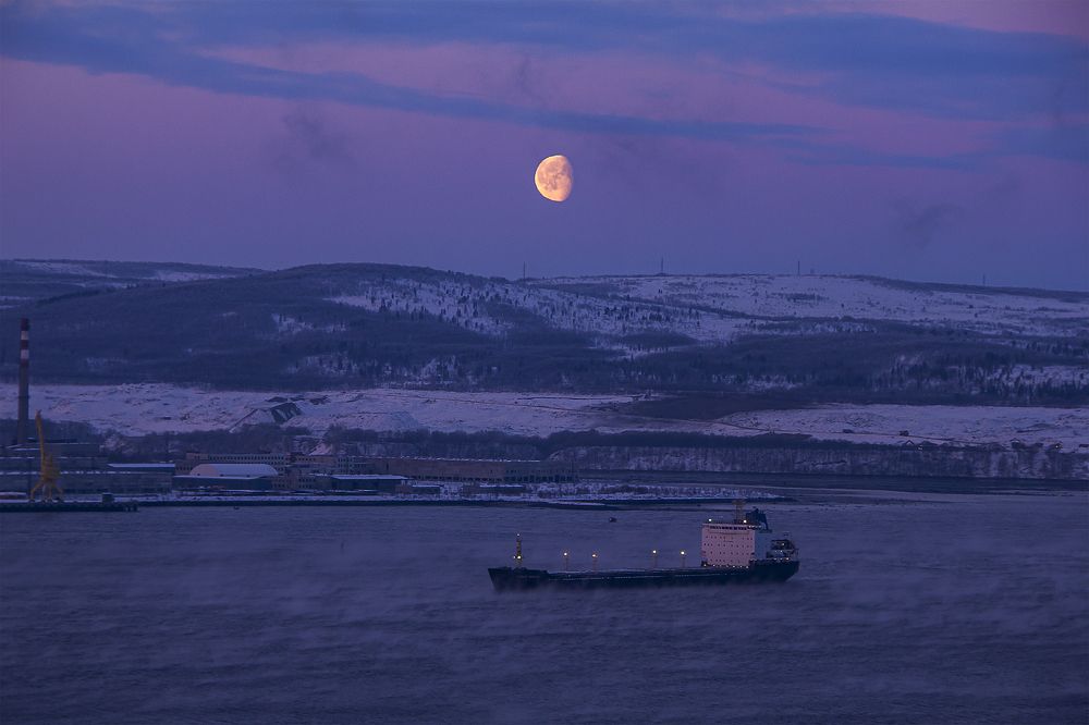 Photograph by Светлана Саиди