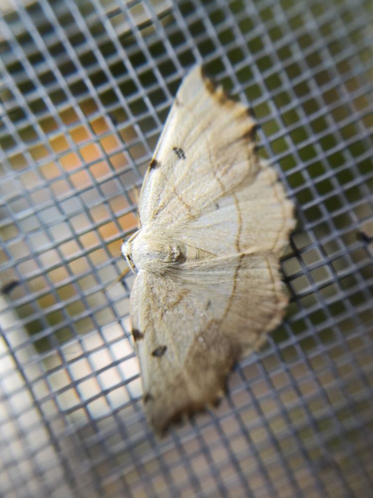 Photograph by Ирина Шибитова