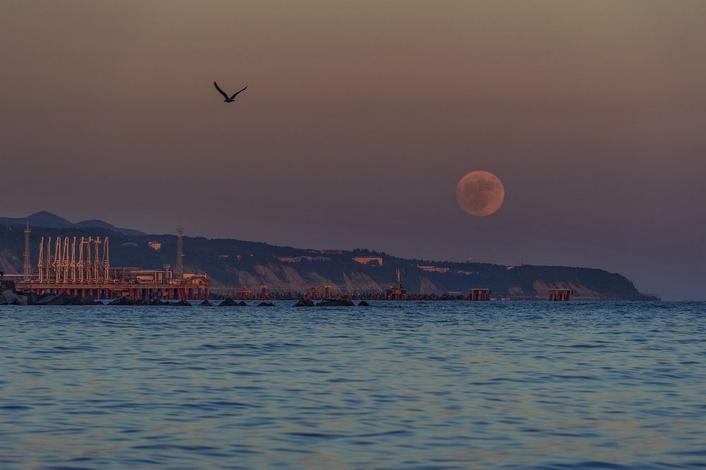 Photograph by Васин Сергей