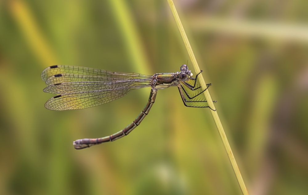 Photograph by Екатерина Бурикова