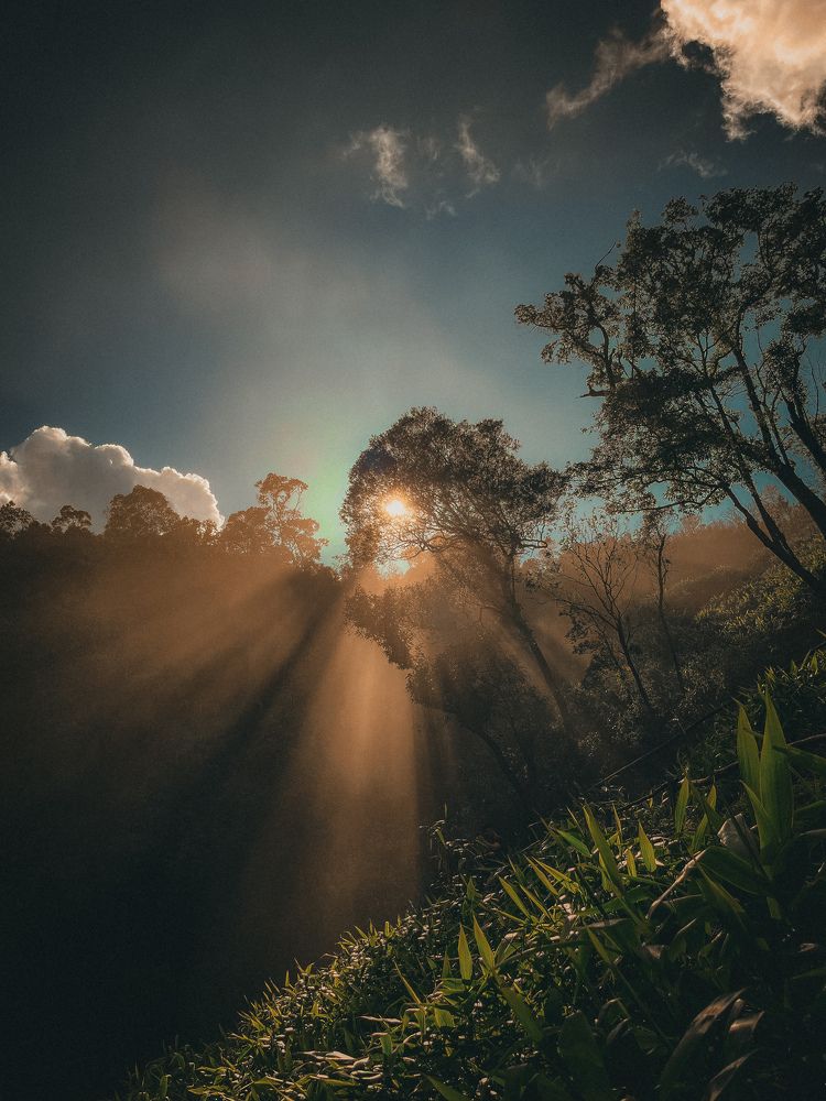 Photograph by Aditya Borah