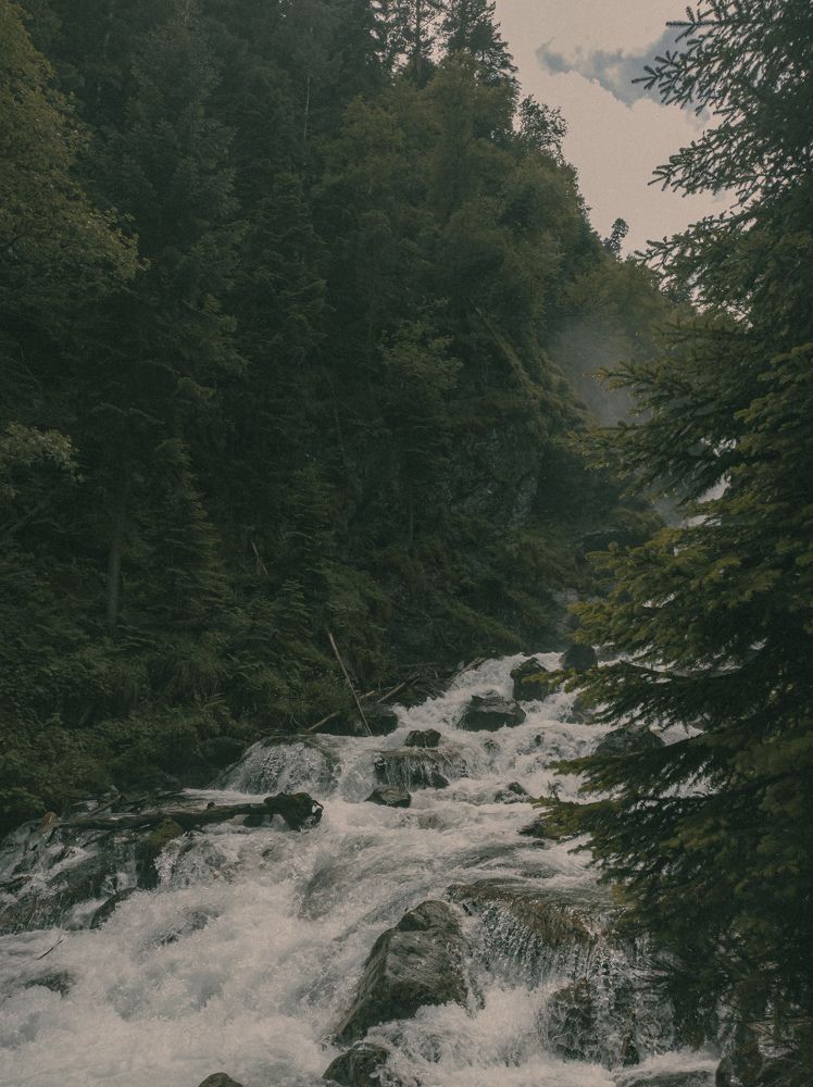 Photo #9353316