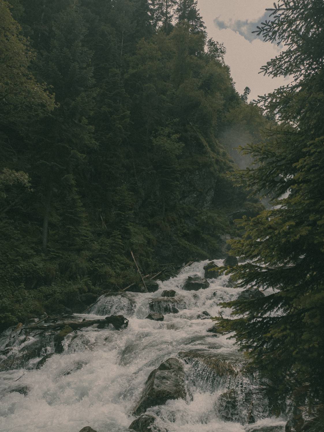 Photo #9353316