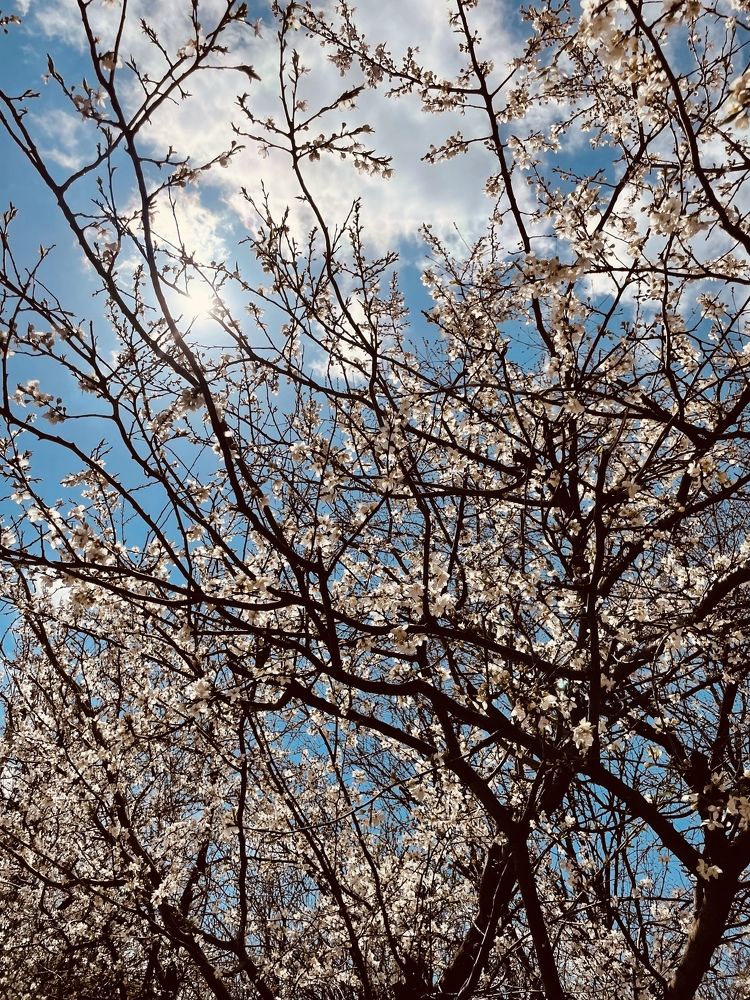 Photograph by Рузанна