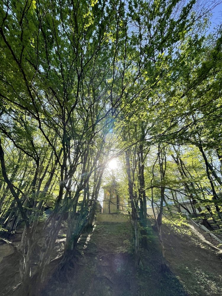 Photograph by Рузанна