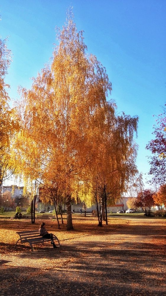 Photograph by Елена Силантьева