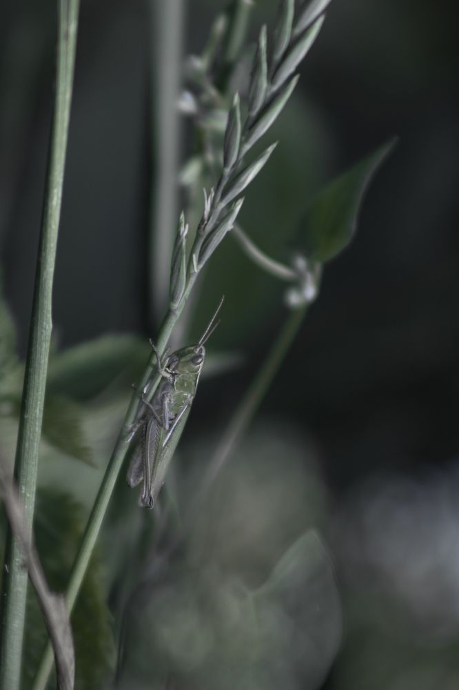 Photograph by Светлана Тарханова