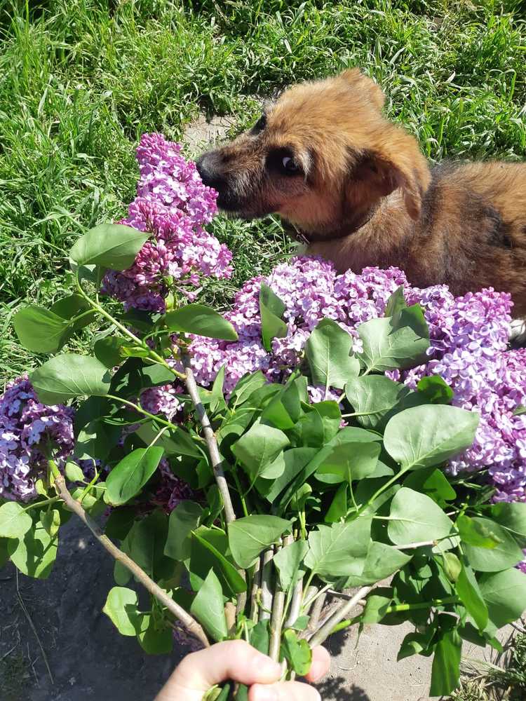 Photograph by Рузанна