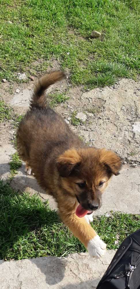 Photograph by Рузанна