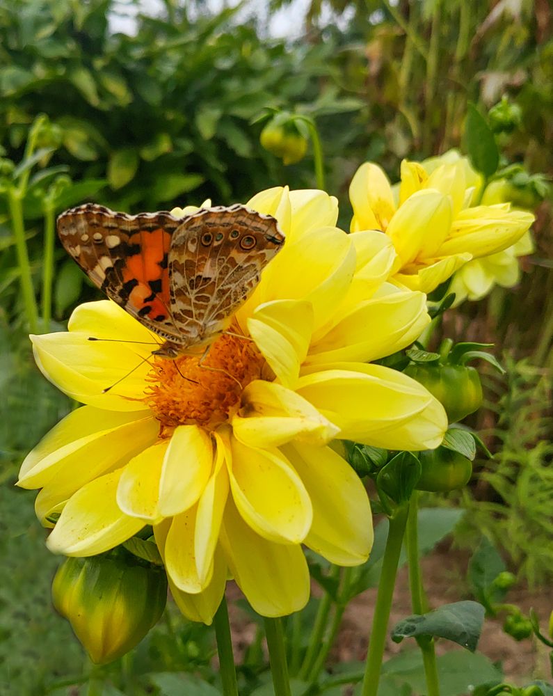 Photograph by Елена Алексеева