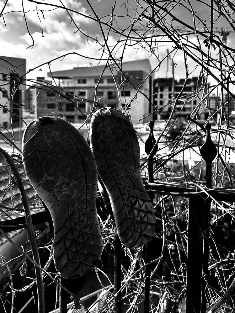 Photograph by Леонид Гроссман