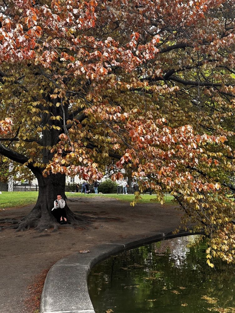 Photograph by Леонид Гроссман