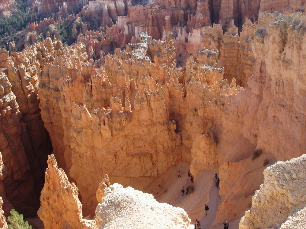 Photograph by Ирина