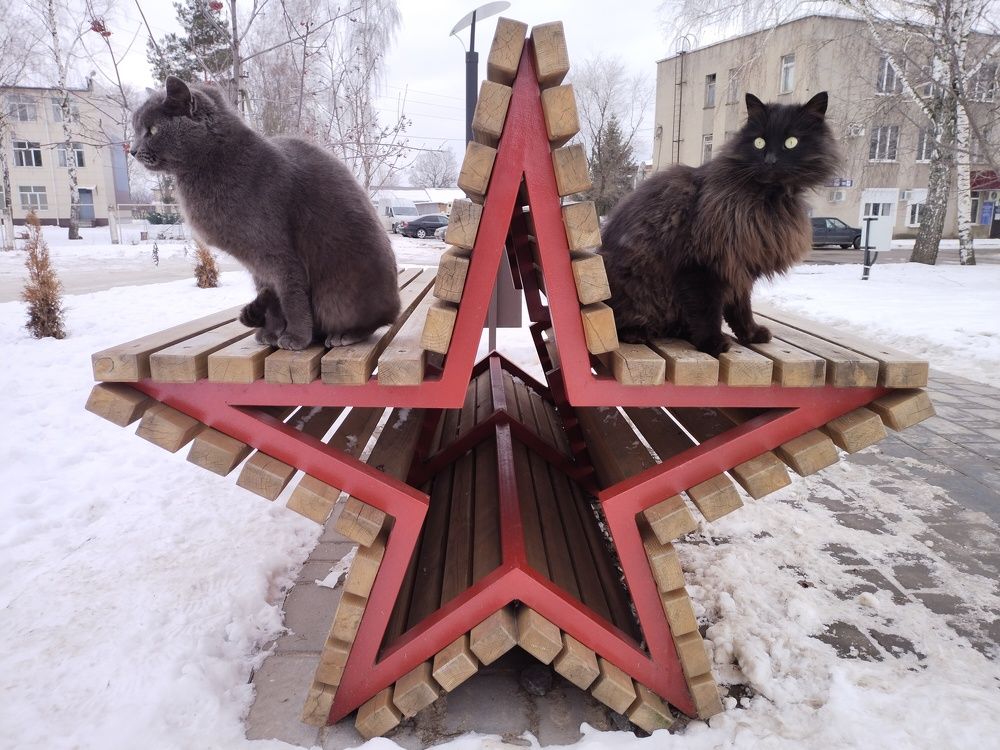 Photograph by Наташа Лаптева