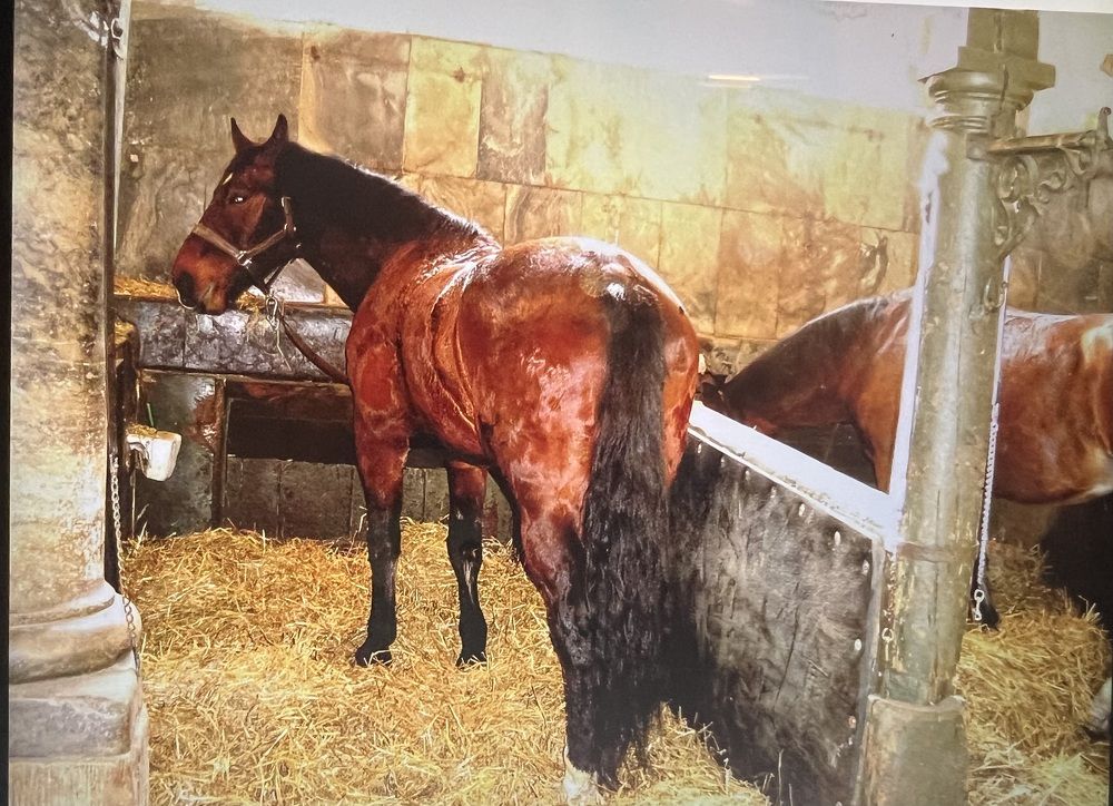 Photograph by Наталья