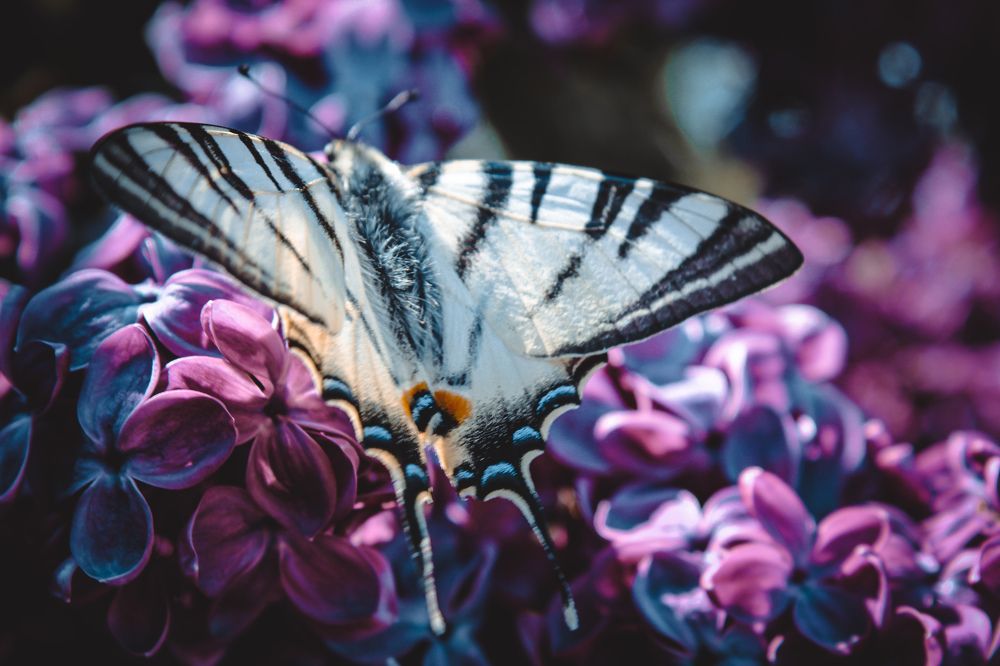 Photograph by Дмитрий Рзянин