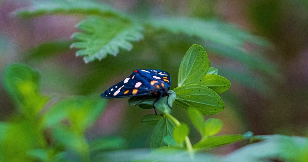 Photograph by Альберт Габбасов