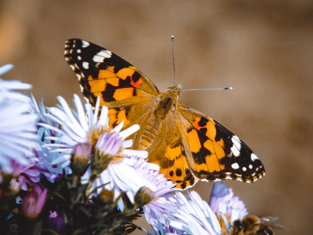 Photograph by Дмитрий Рзянин