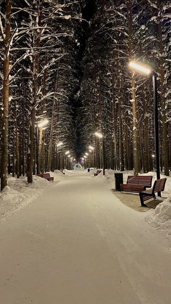 Photograph by Alina Andreevna