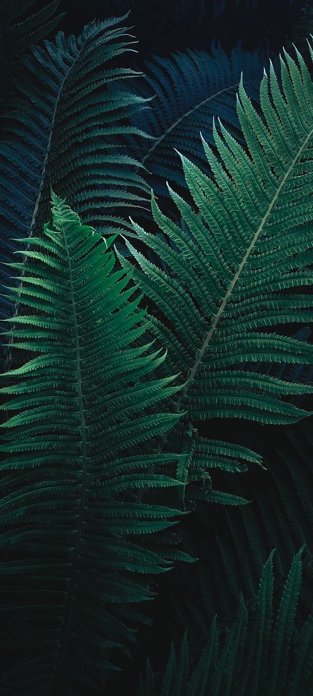 Фотография автора Анастасия