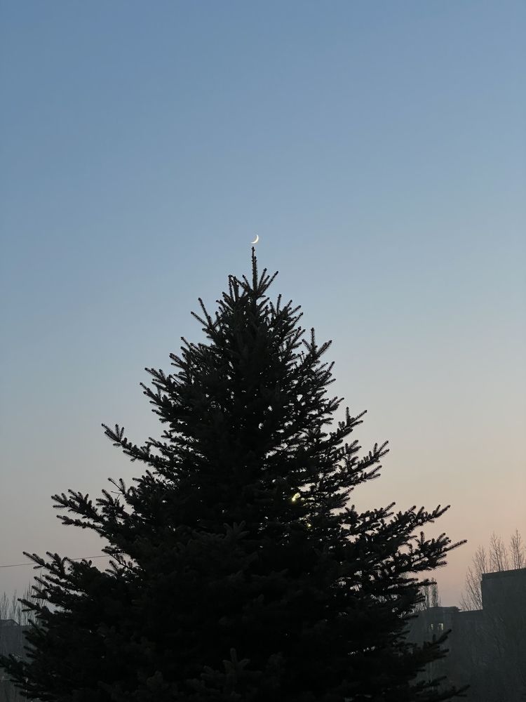 Photograph by Рузанна