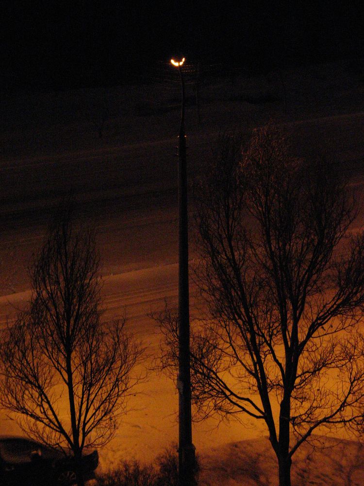 Фотография автора Евгений