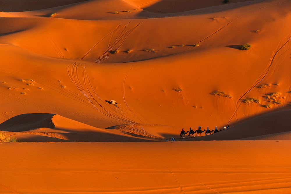 Sahara desert
