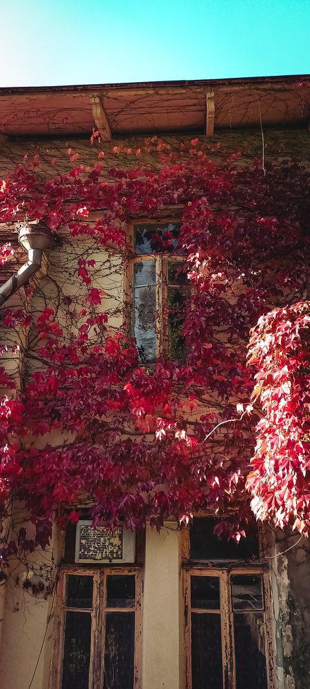 Фотография автора Анастасия