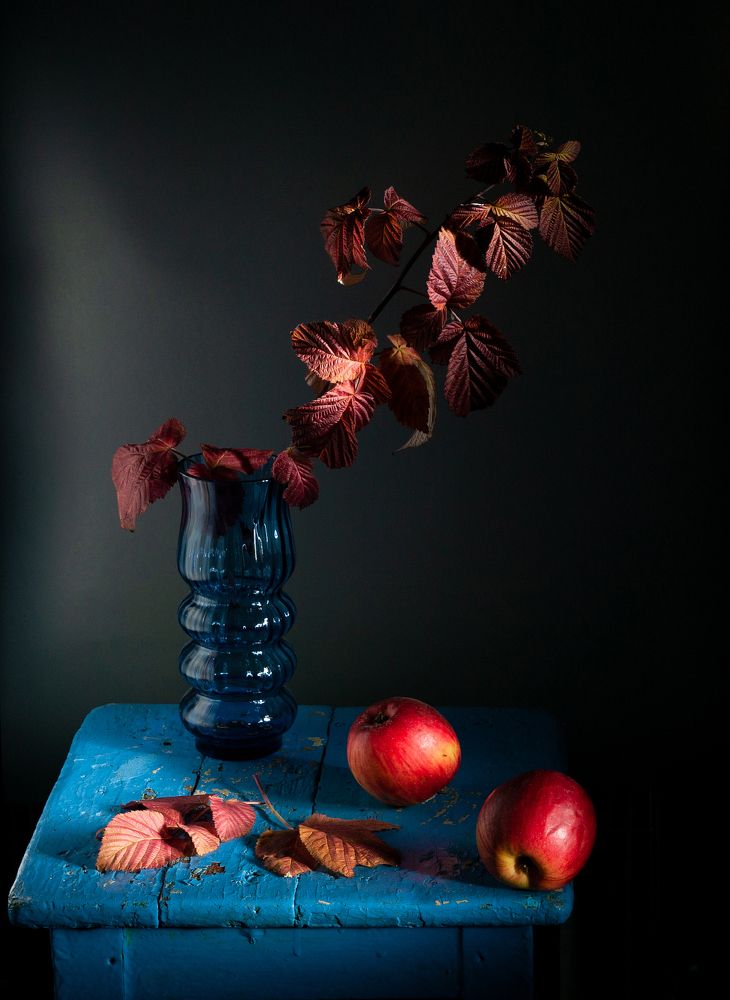 Фотография автора Елизарова Елена