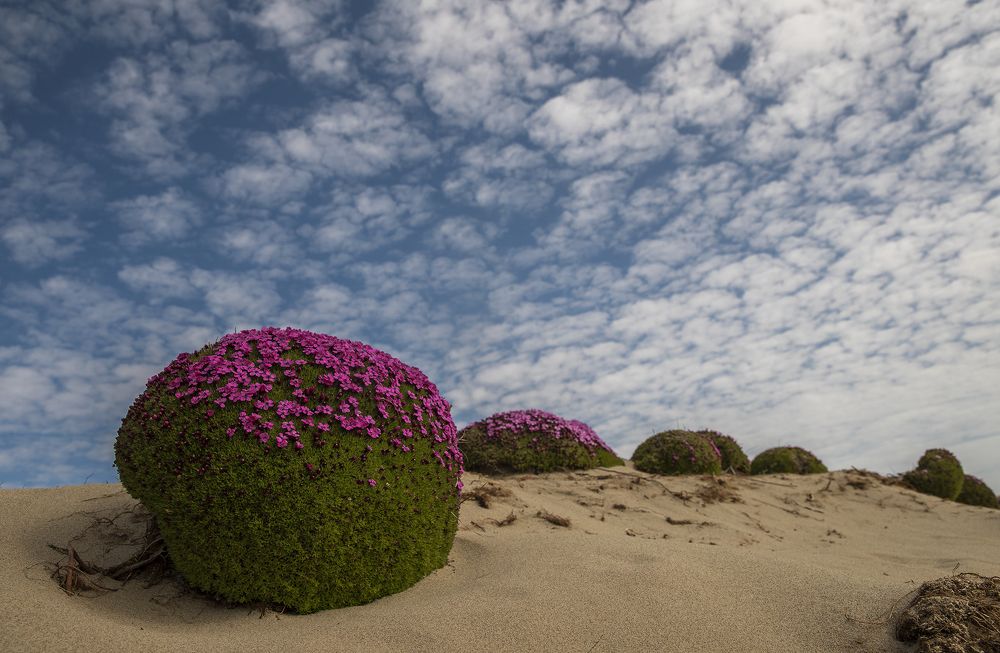 Photograph by Владислав Костылев