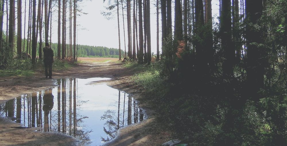 Photograph by Екатерина Филина