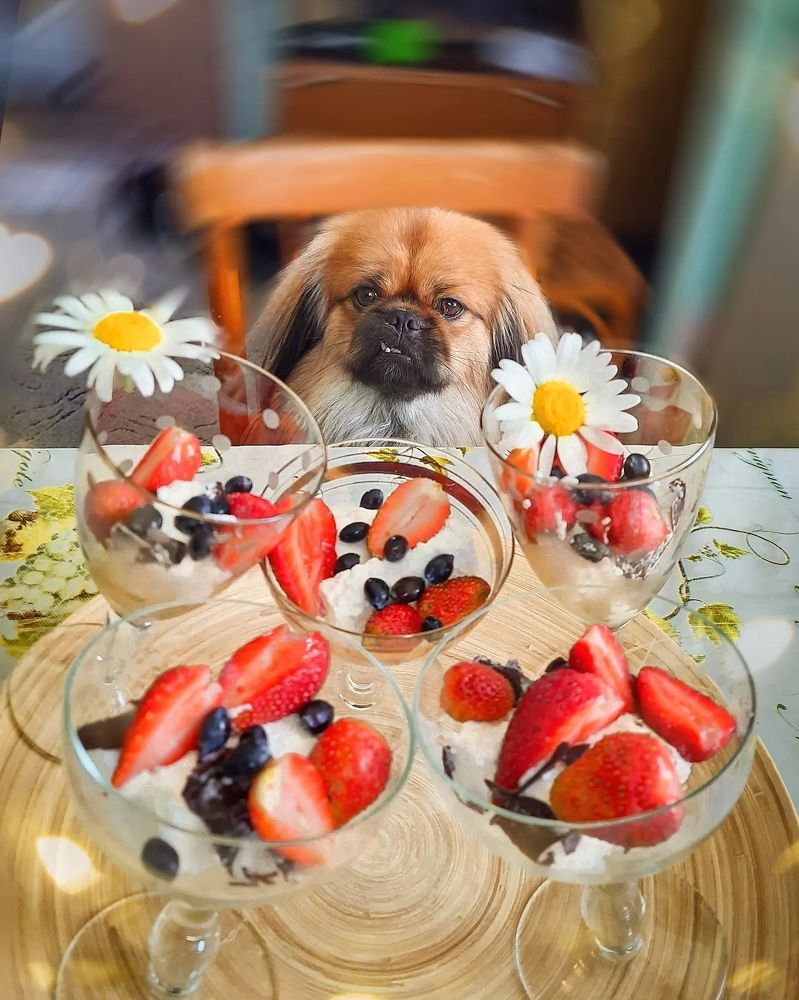 Photograph by Анна Фёдорова