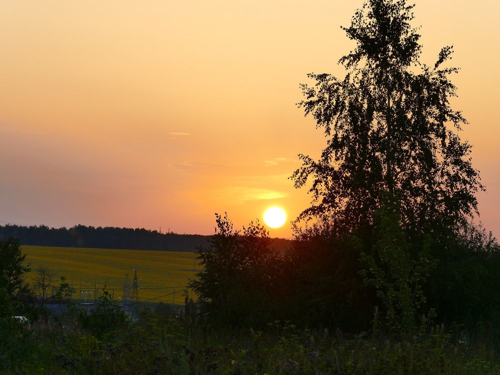 Photograph by Александр Кизим