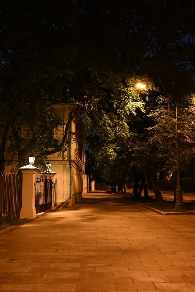Photograph by Elvira Ner