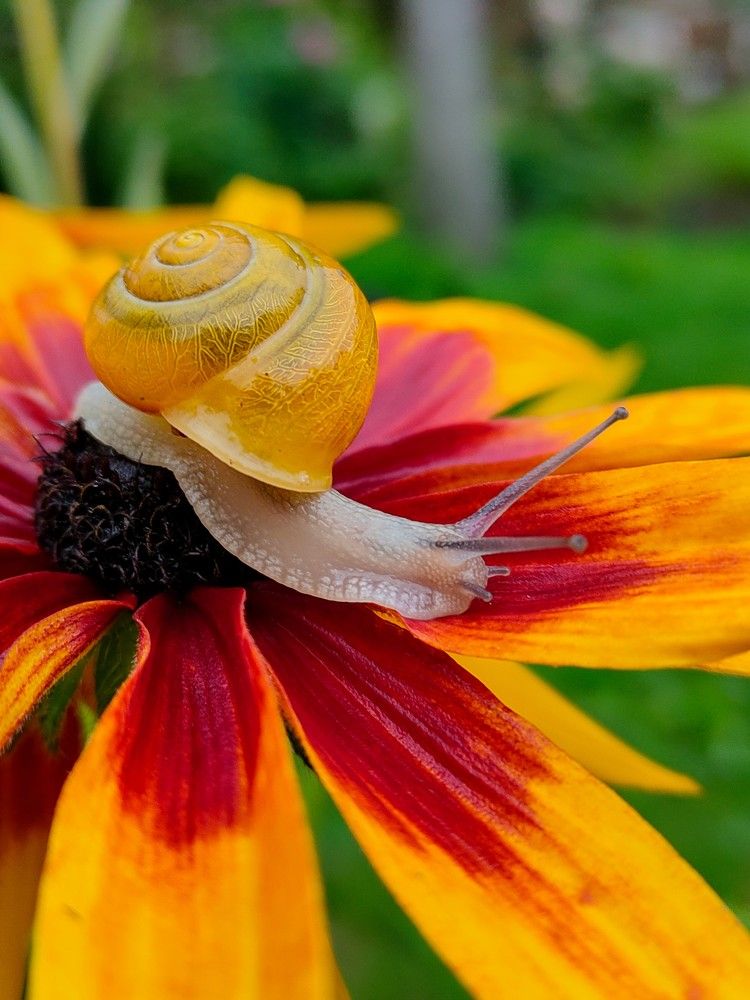 Photograph by Оксана Губанова