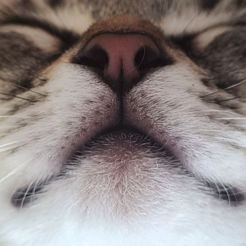 Photograph by Yulia Bilato