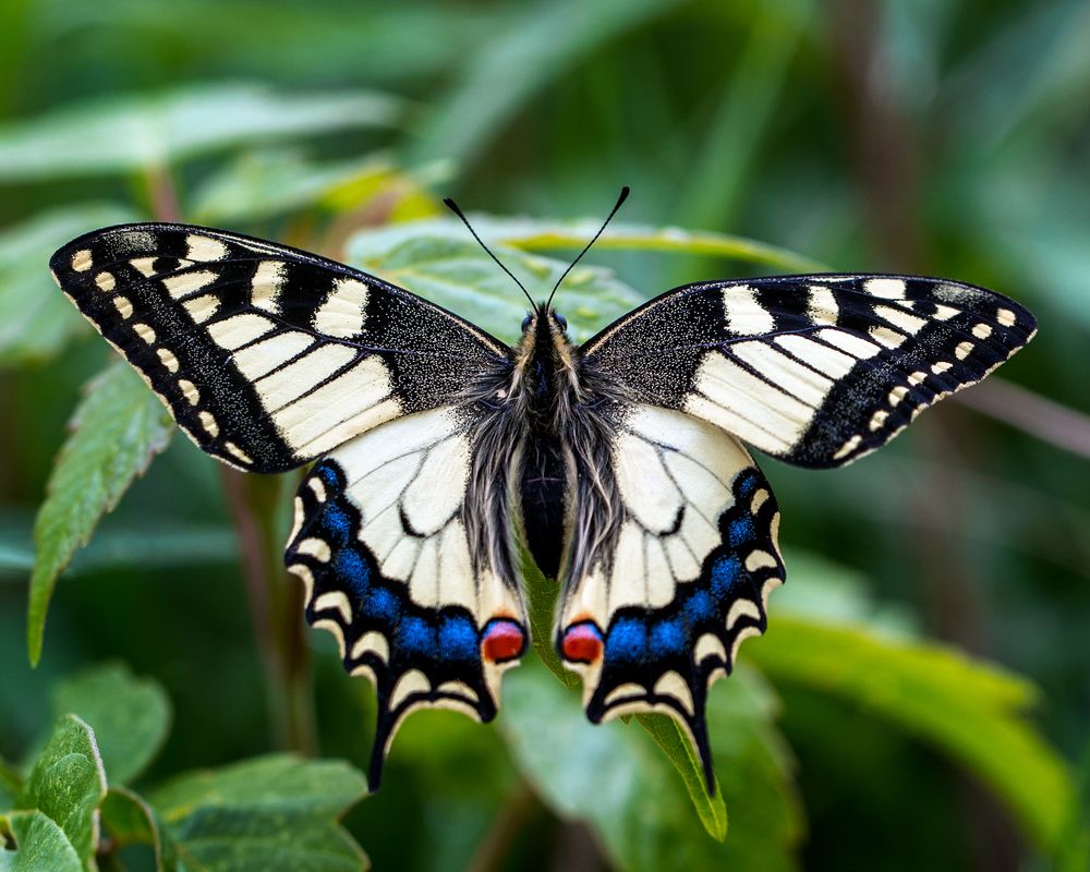 Фотография автора  Михаил