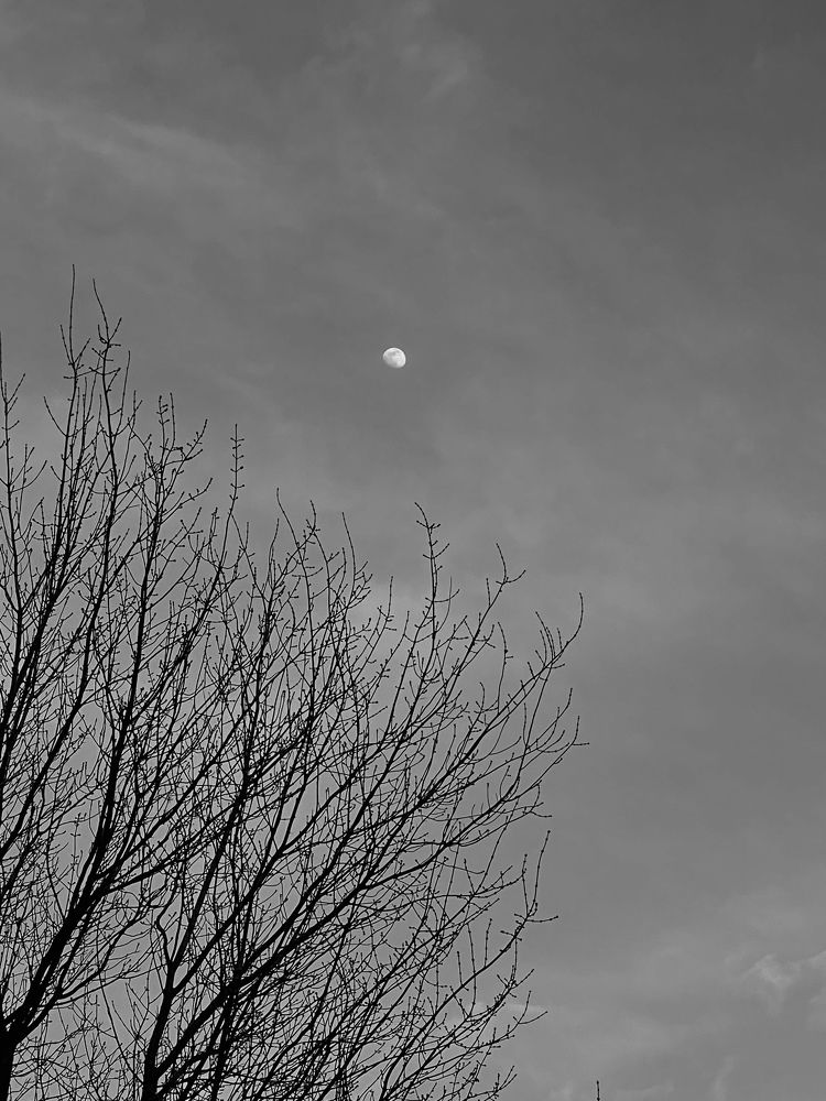 Photograph by Рузанна