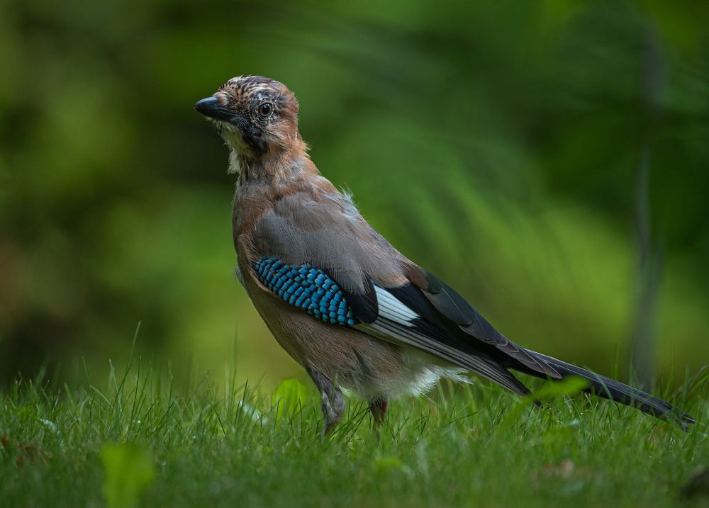 Photograph by Курлянцев Алексей