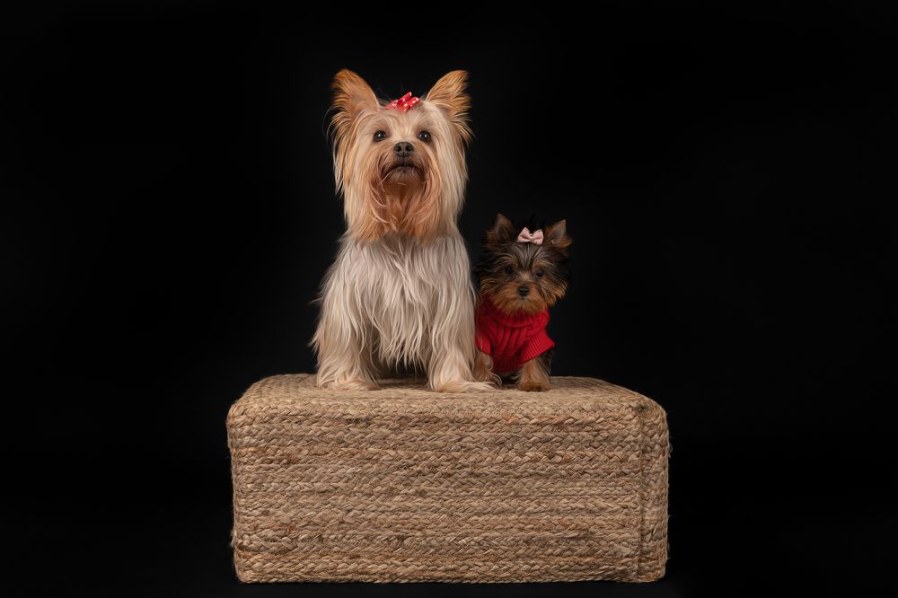 Фотография автора Alicia Mate