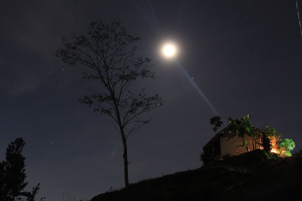 Photograph by Baraya Rocky